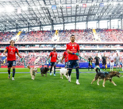 Игроки ПФК ЦСКА вышли на поле с собаками из приюта фонда «Ника»