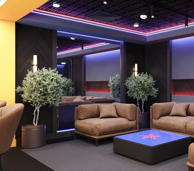 Новая VIP-зона на ВЭБ Арене